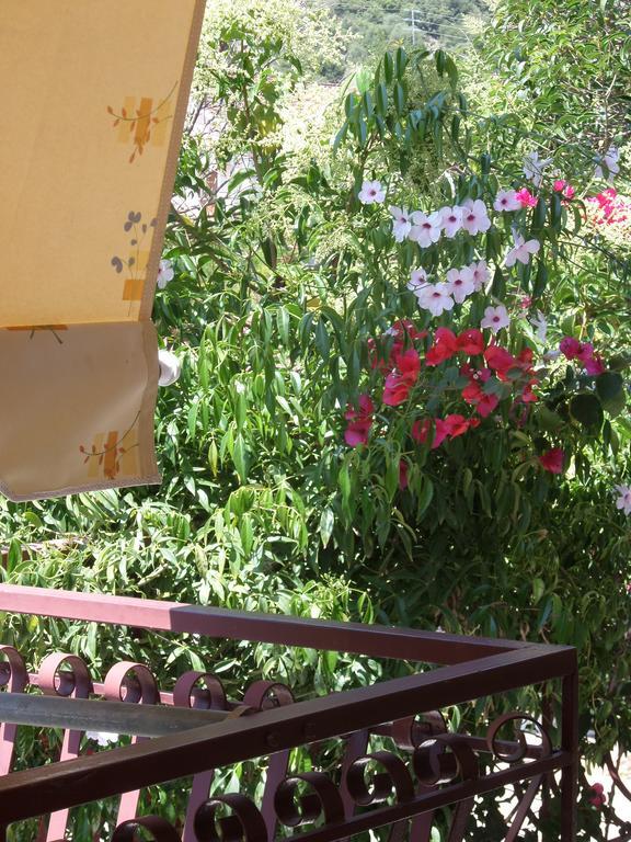 Stamoulis Apartments Agia Efimia Extérieur photo